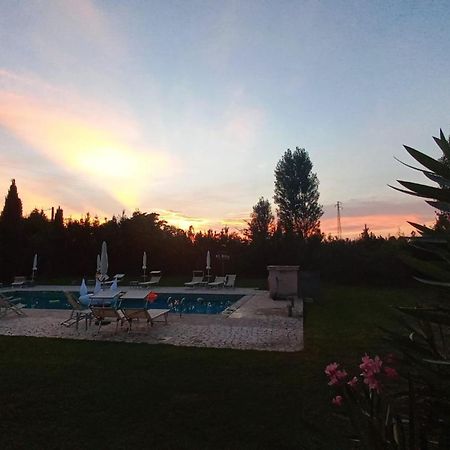 Fattoria Il Giardo Appartement Pietrasanta Buitenkant foto
