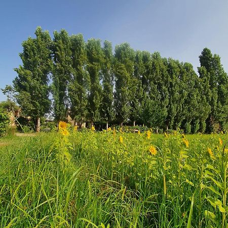 Fattoria Il Giardo Appartement Pietrasanta Buitenkant foto