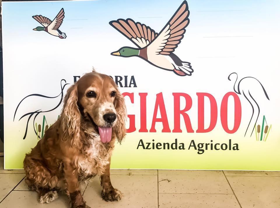 Fattoria Il Giardo Appartement Pietrasanta Buitenkant foto
