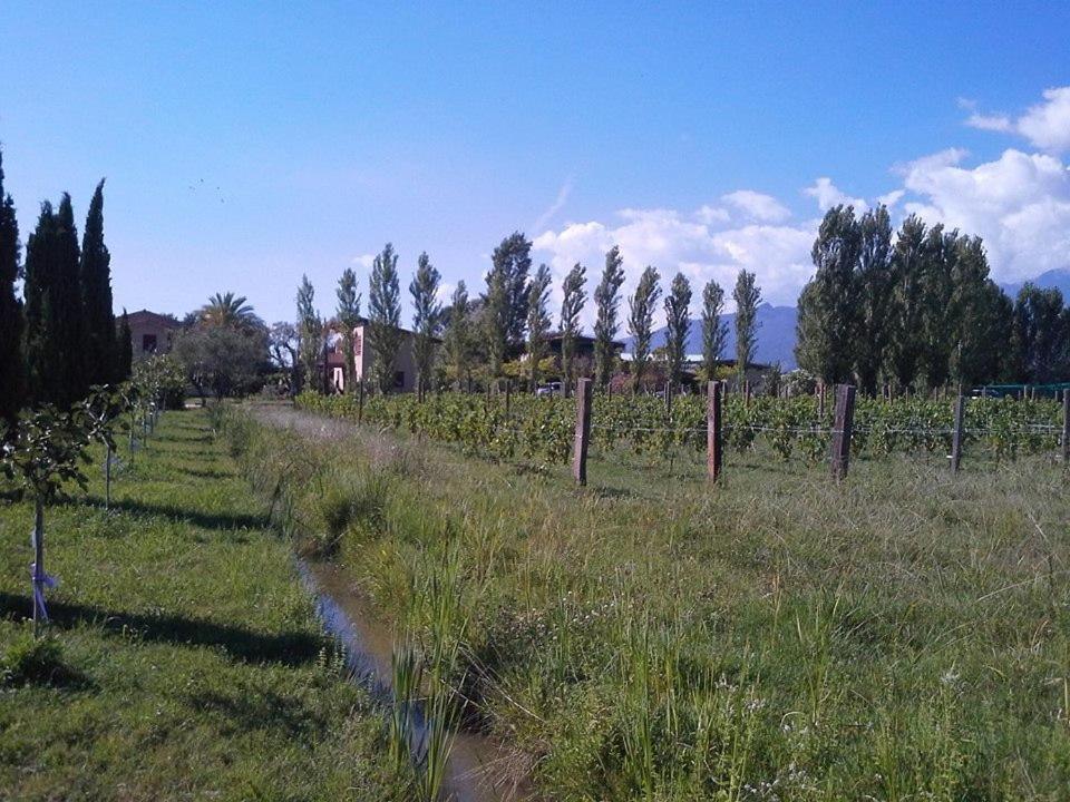 Fattoria Il Giardo Appartement Pietrasanta Buitenkant foto