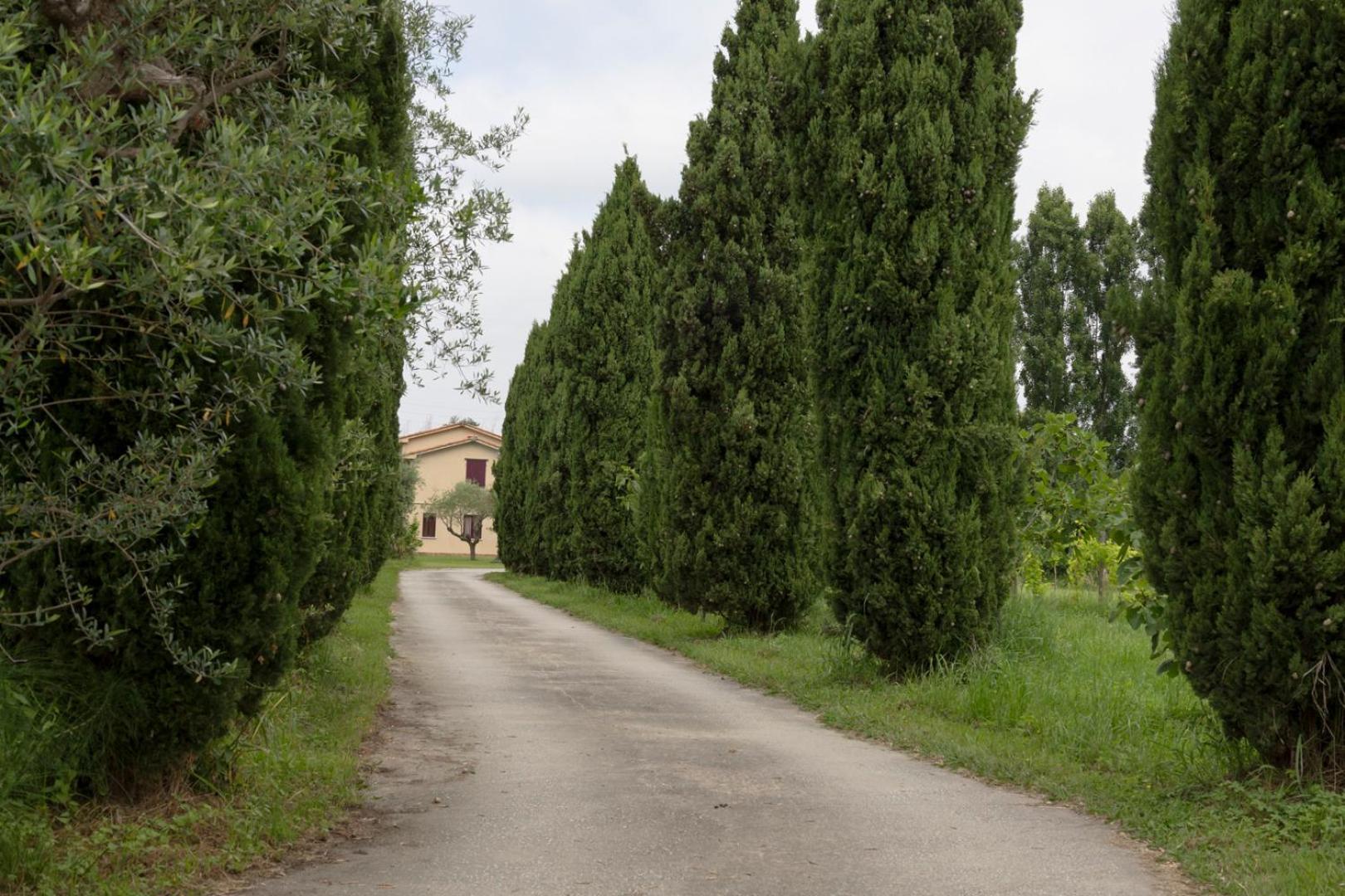 Fattoria Il Giardo Appartement Pietrasanta Buitenkant foto