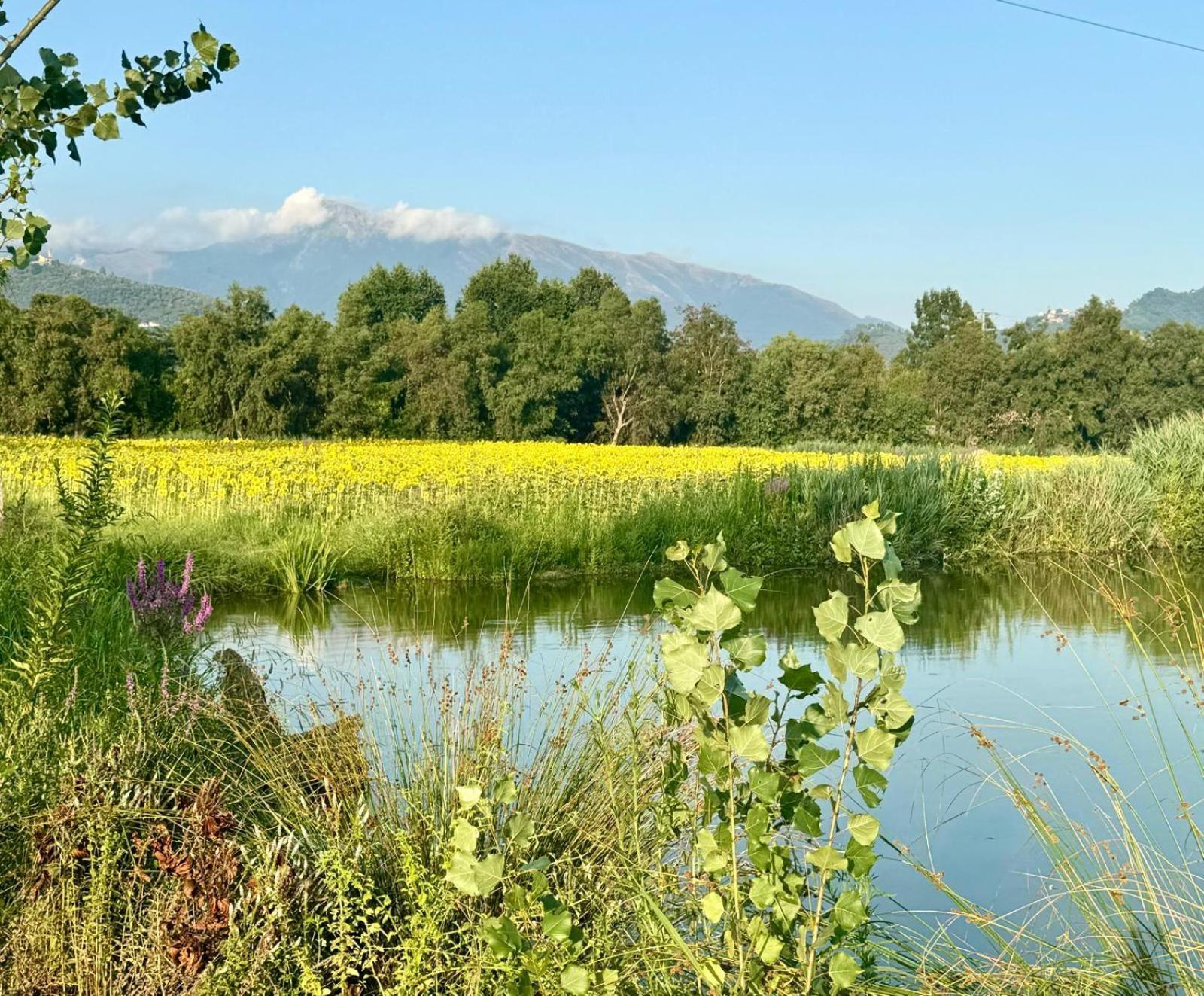 Fattoria Il Giardo Appartement Pietrasanta Buitenkant foto