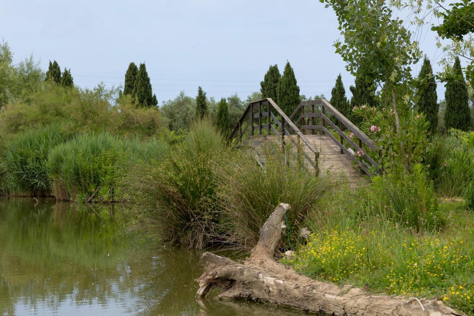 Fattoria Il Giardo Appartement Pietrasanta Buitenkant foto