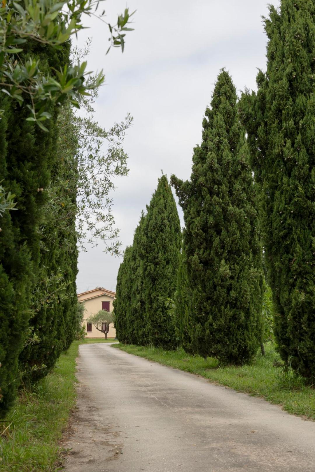 Fattoria Il Giardo Appartement Pietrasanta Buitenkant foto