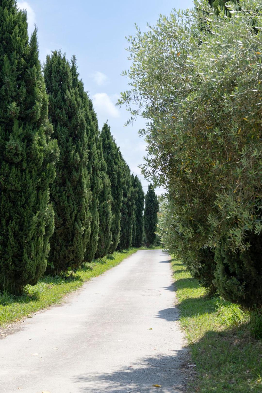 Fattoria Il Giardo Appartement Pietrasanta Buitenkant foto